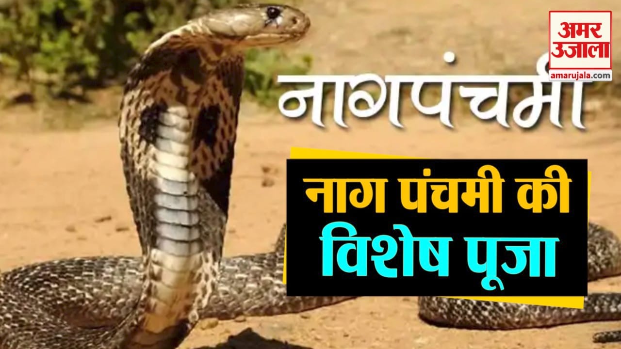 डिजाइन पिक्चर