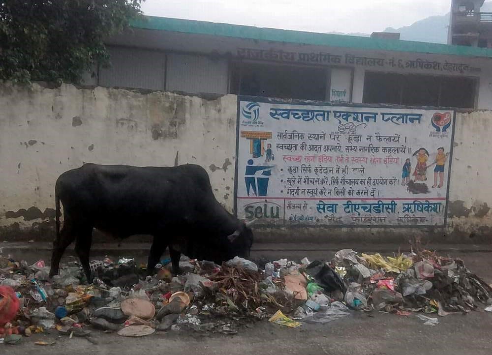rain water logged in rishikesh school risk of dengue to the kids