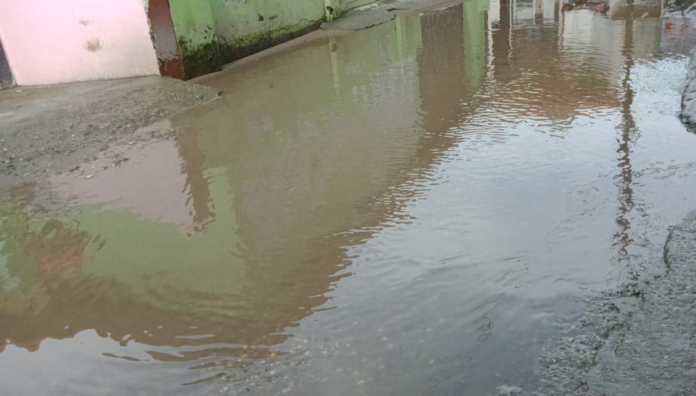 rain water logged in rishikesh school risk of dengue to the kids