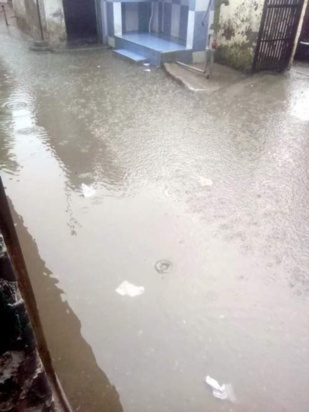 rain water logged in rishikesh school risk of dengue to the kids