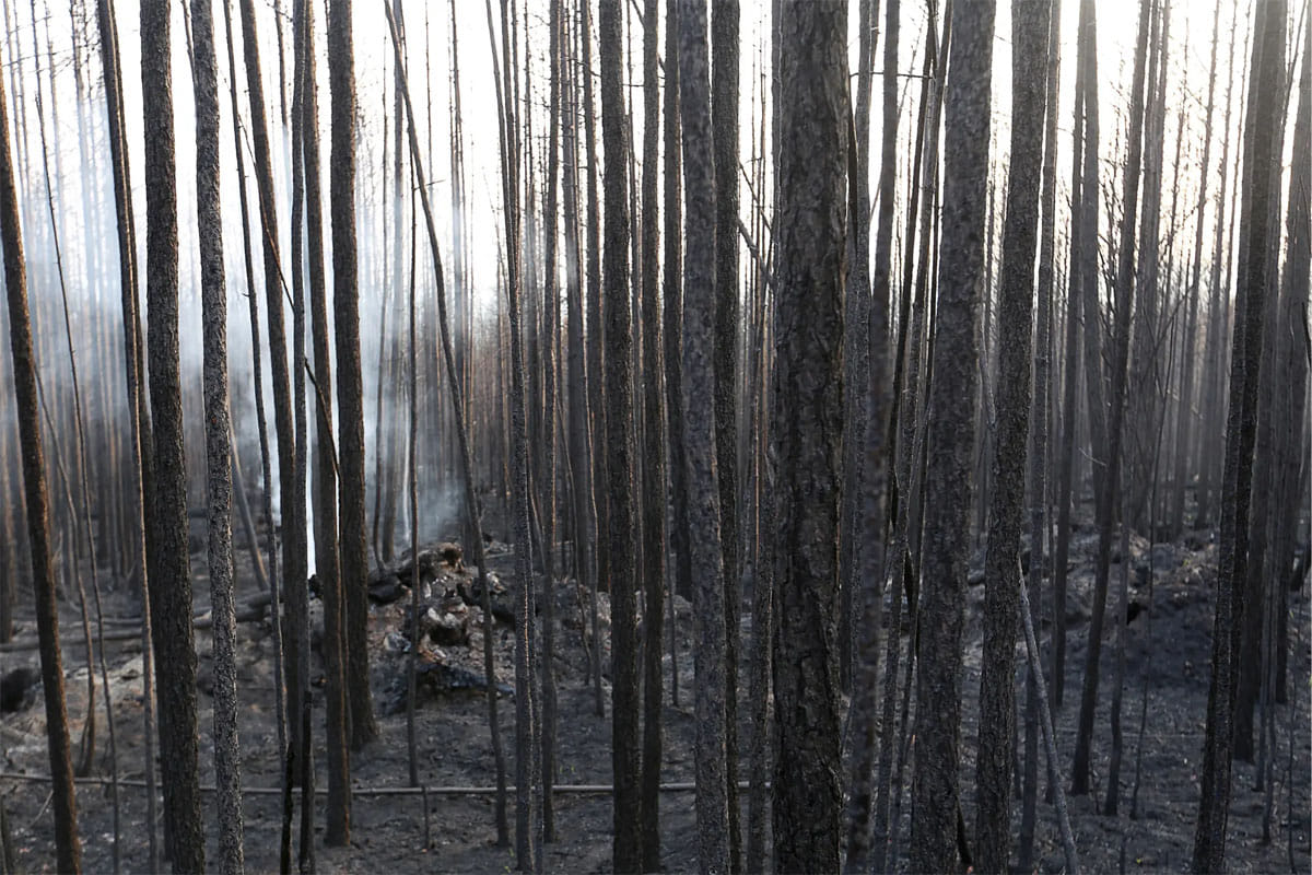 Smoke from Siberian forest fires traveled across Bering Sea to United States, Canada