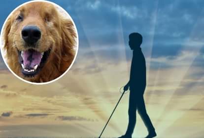 प्रतीकात्मक तस्वीर