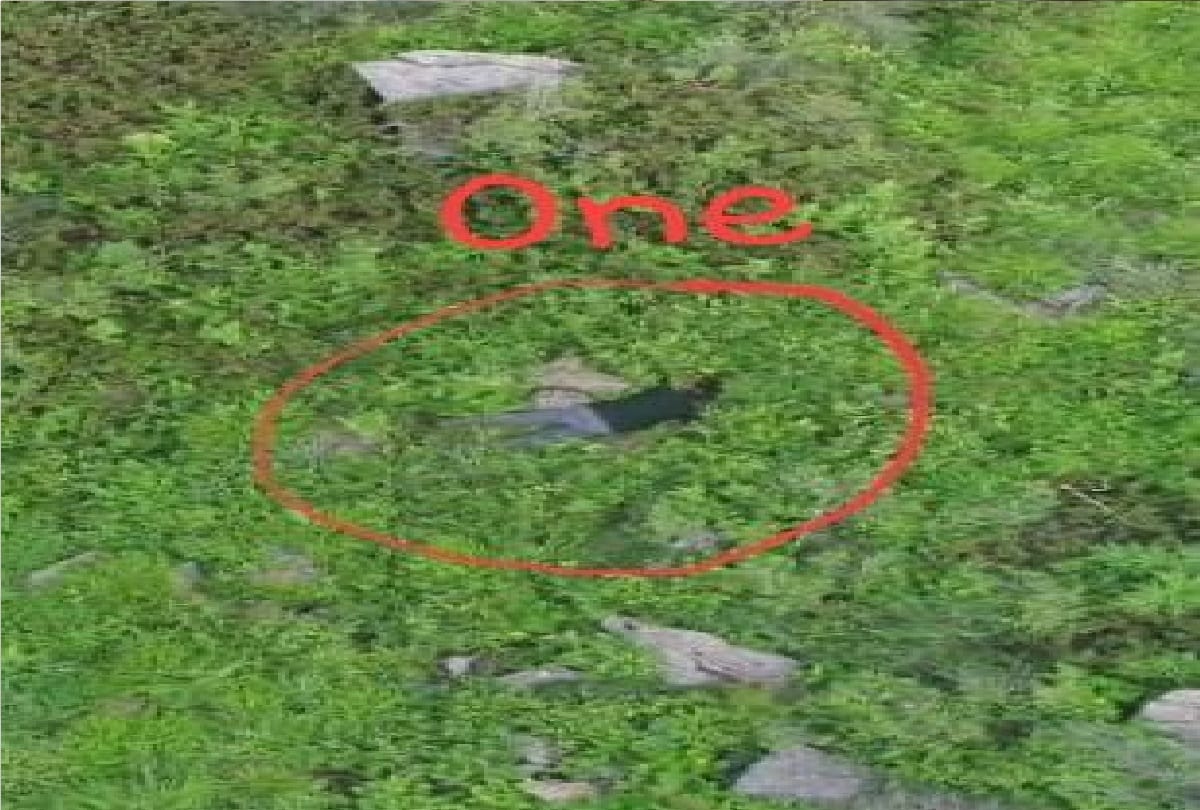 Indian Army has foiled infiltration attempt by a Pakistani BAT in Keran, seven killed