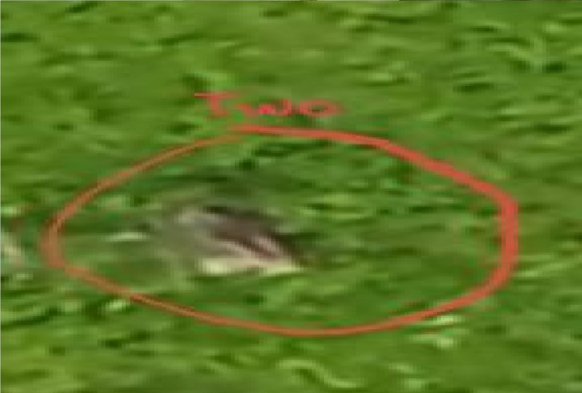Indian Army has foiled infiltration attempt by a Pakistani BAT in Keran, seven killed