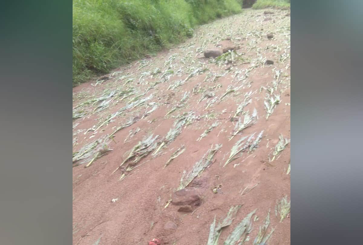 himachal weather report heavy rain in shimla kullu himachal pradesh
