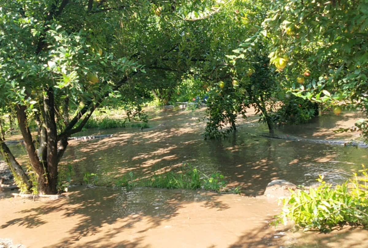 himachal weather report heavy rain in shimla kullu himachal pradesh
