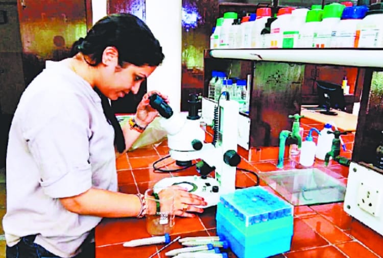 PU Student Did Research On Soil Of Six States