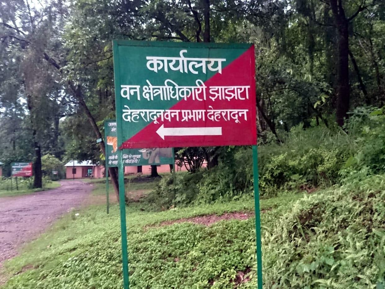 Now jungle safari will also be done in Jhajra