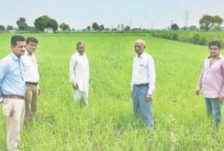 agriculture, Saved water by direct seeding of paddy, earned profits from farming of deficit deal