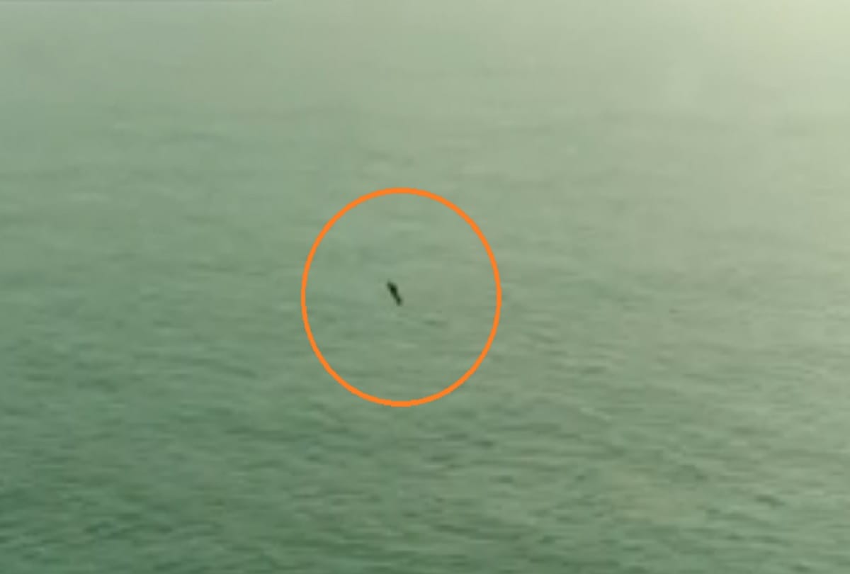 French inventor Franky Zapata successfully crosses English Channel on a flyboard