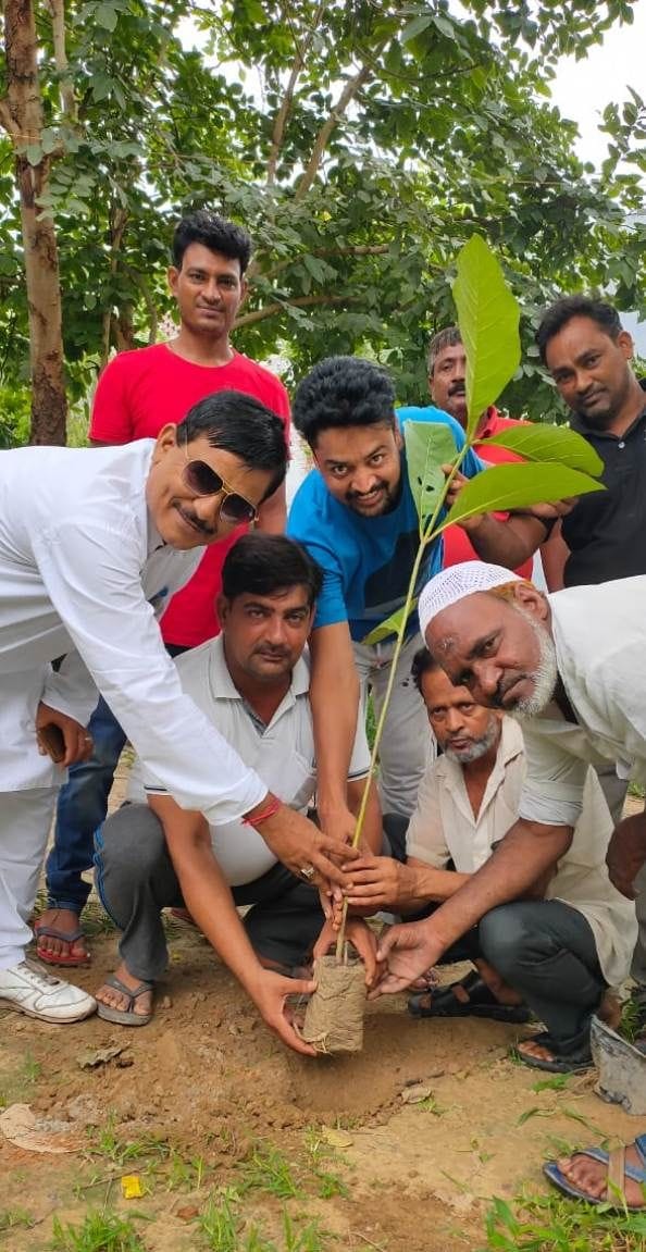 plantation in Dholri
