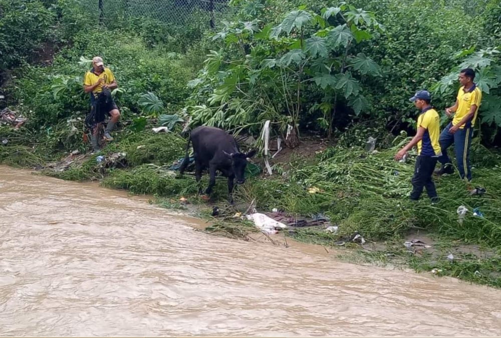Bindal river overflow and Major water logging in dehradun after heavy rainfall