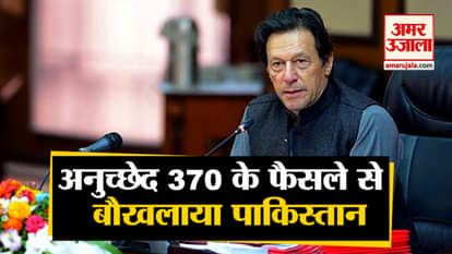 Pakistan says will challenge revoking of article 370