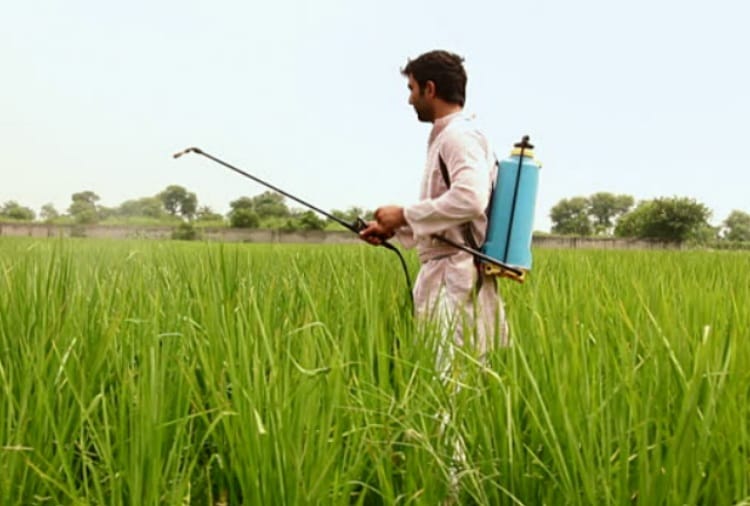 agriculture, Pesticide spraying may be dangerous for health