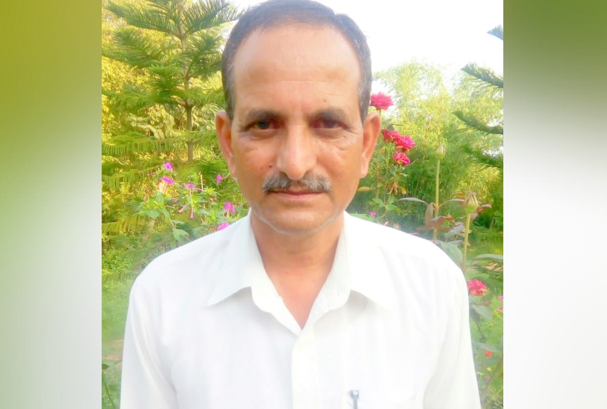 expert advice for farming of cauliflower