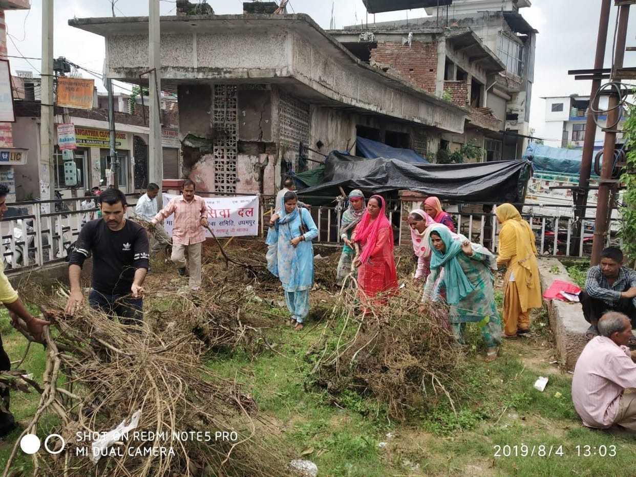 clean and green india