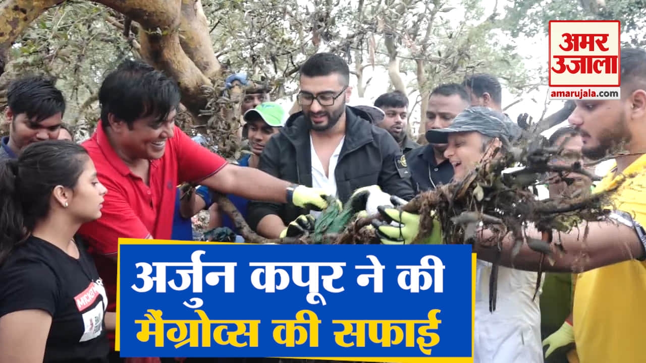 बॉलीवुड