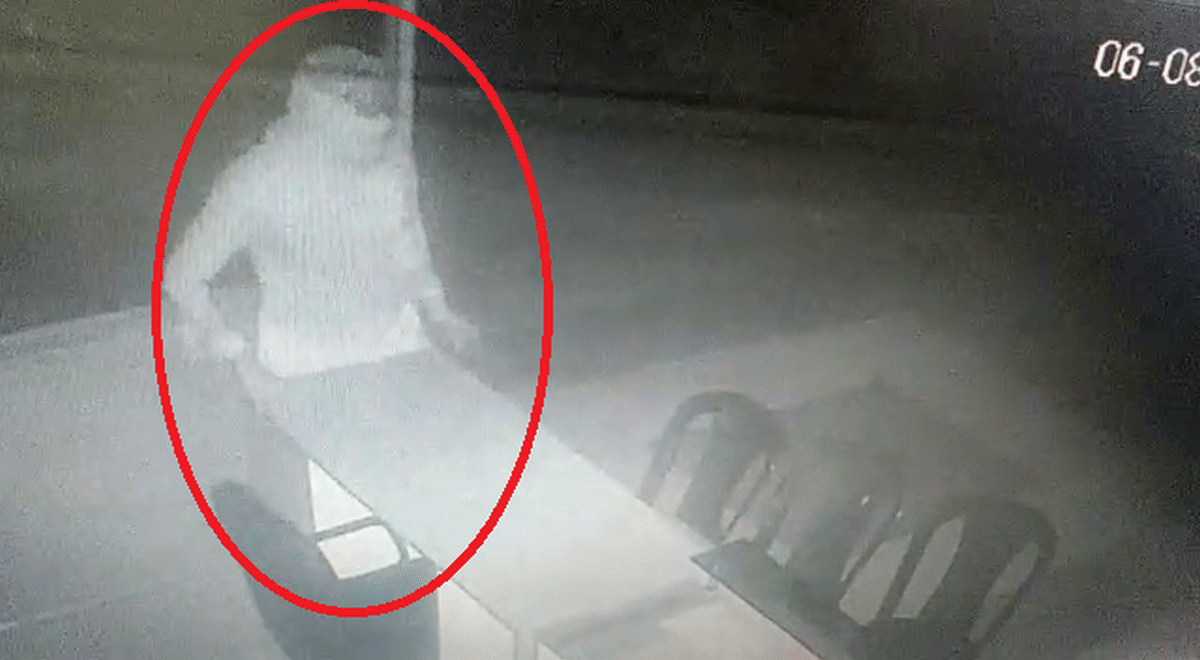 thief theft cash laptop in school cature cctv kopaganj mau