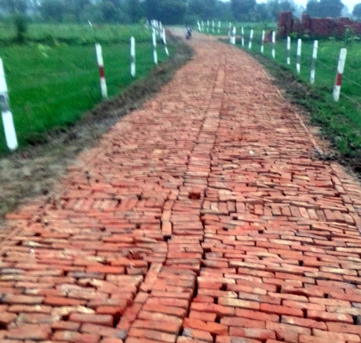 ganga, upvan, governar, dm
