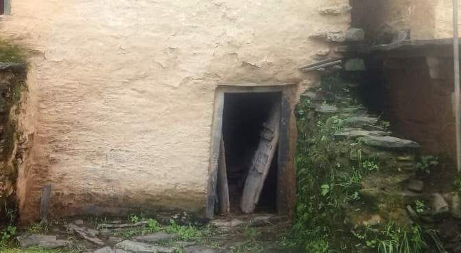 In Panther village, tiger breaks in and kill cattle