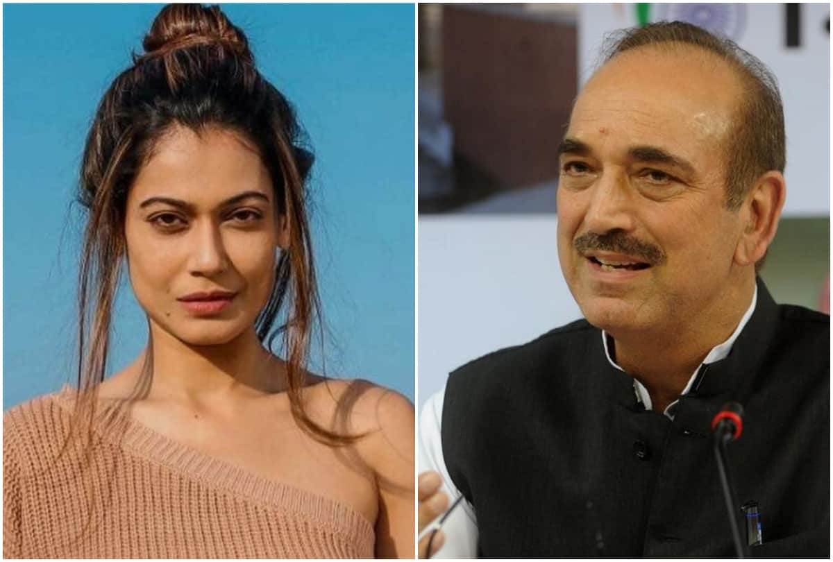 payal rohatgi takes on congress leader gulam nabi azad article 370 row