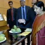 उजबेकिस्तान में आयोजित यूपी मैंगो फेस्टिवल में मौजूद सुषमा स्वराज