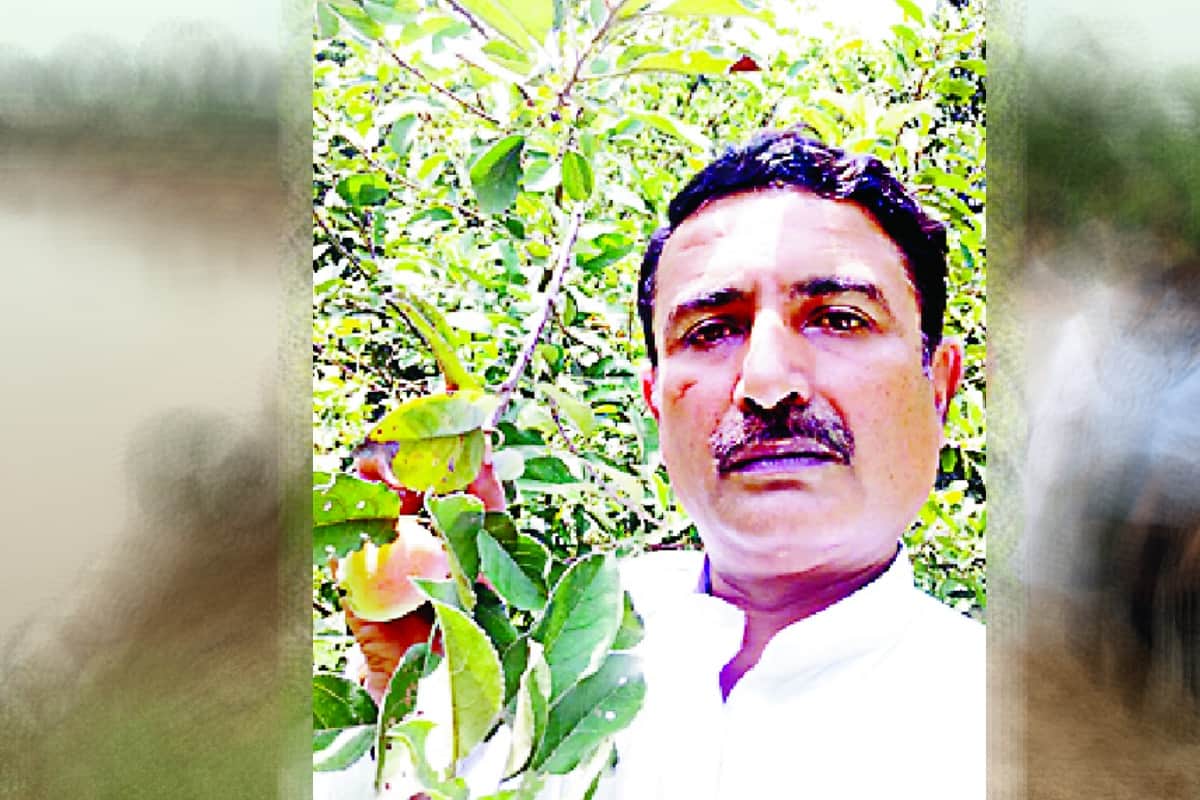 Now apple farming will be in saharanpur district of UP