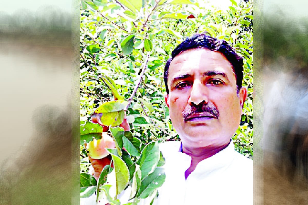 Now apple farming will be in saharanpur district of UP