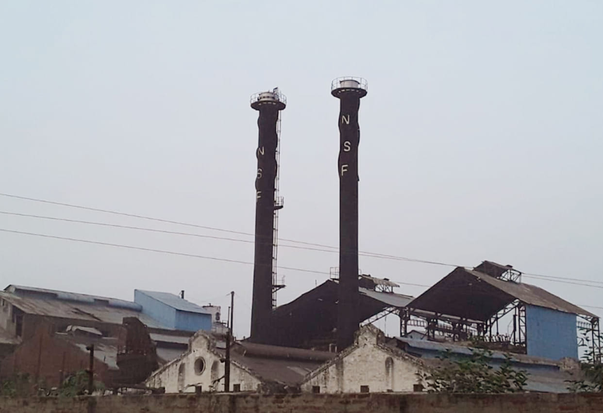 ganna, farmmer, sugar
