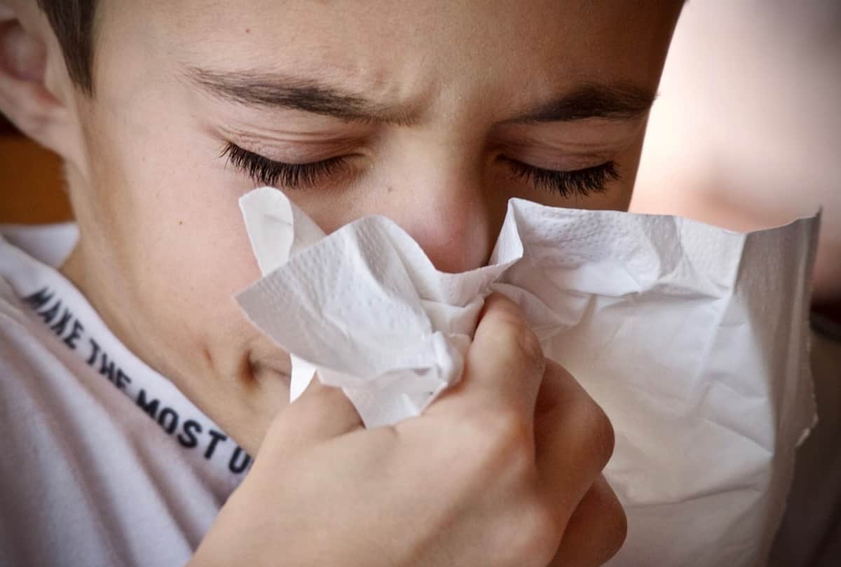 Swine Flu Advisory from Doctors, Western Disturbances, Winter Season