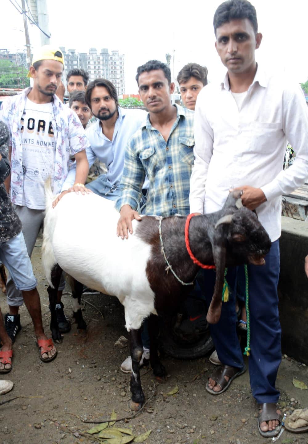know about how Eid-Adha is celeberated in hindi