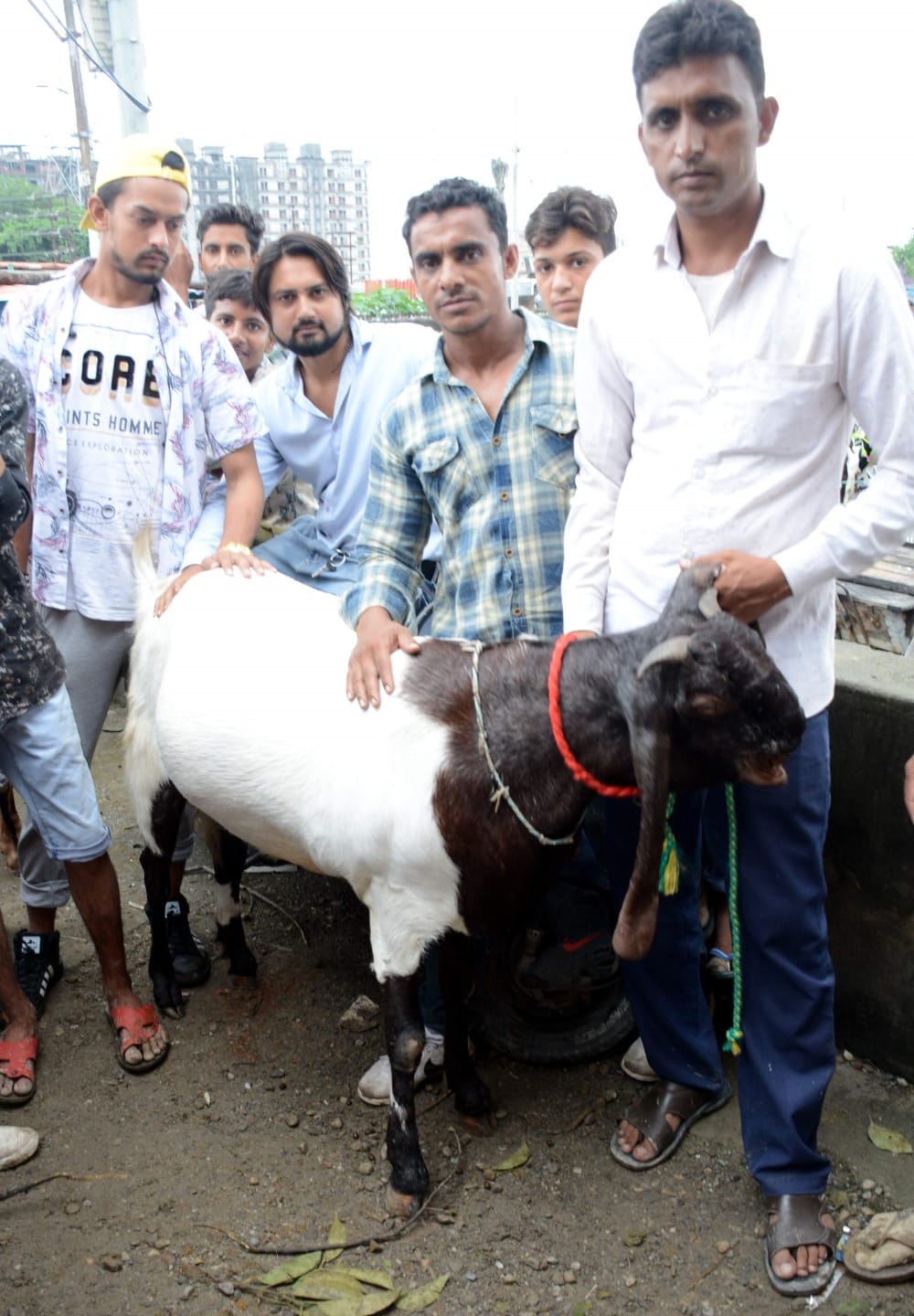 know about how Eid-Adha is celeberated in hindi