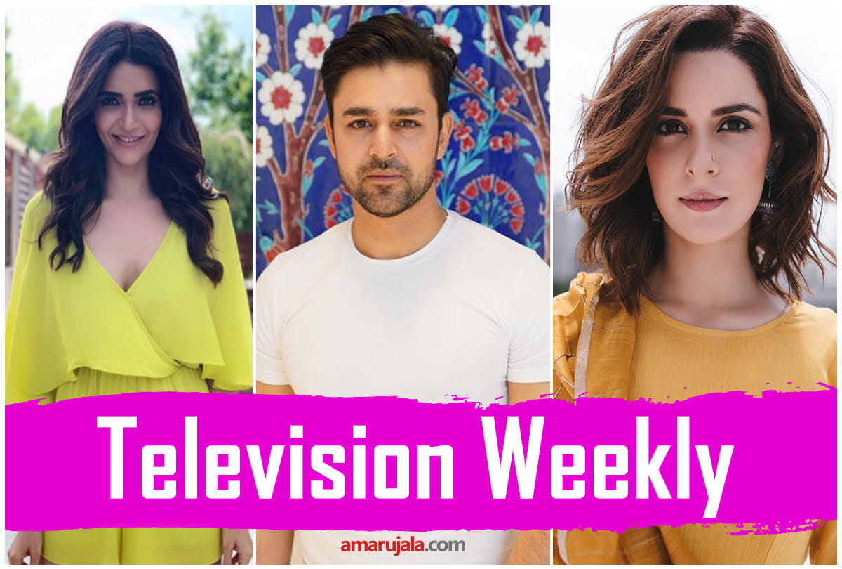 Television Weekly Kashmiri actress Ekta Kaul on Article 370 to Mohit Abriol Top5 Tv news