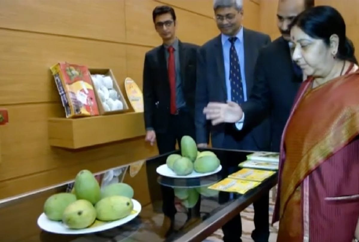 Sushma Swaraj promoted Amroha Chausa aam in Uzbekistan