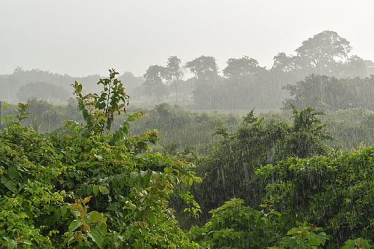 Matheran hill station mumbai become most wet area in the country