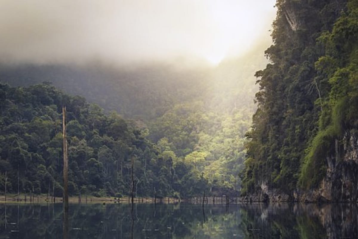 Matheran hill station mumbai become most wet area in the country