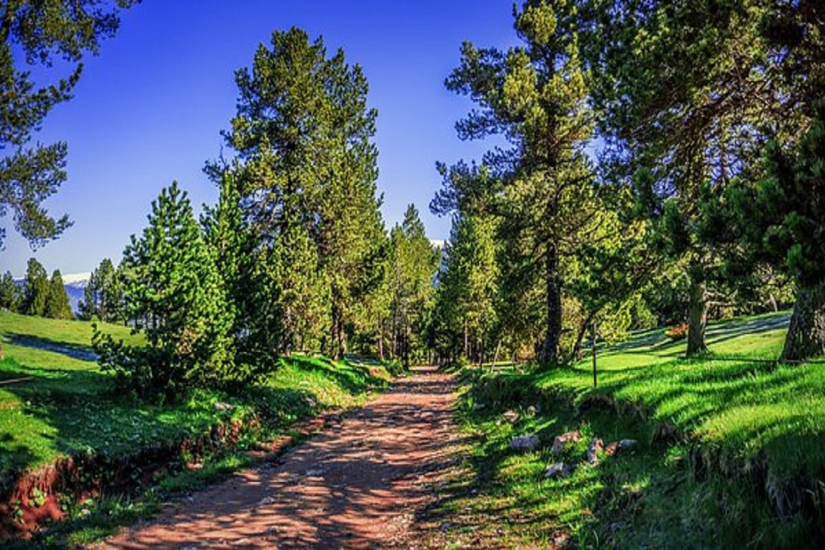 best honeymoon destination is dalhousie