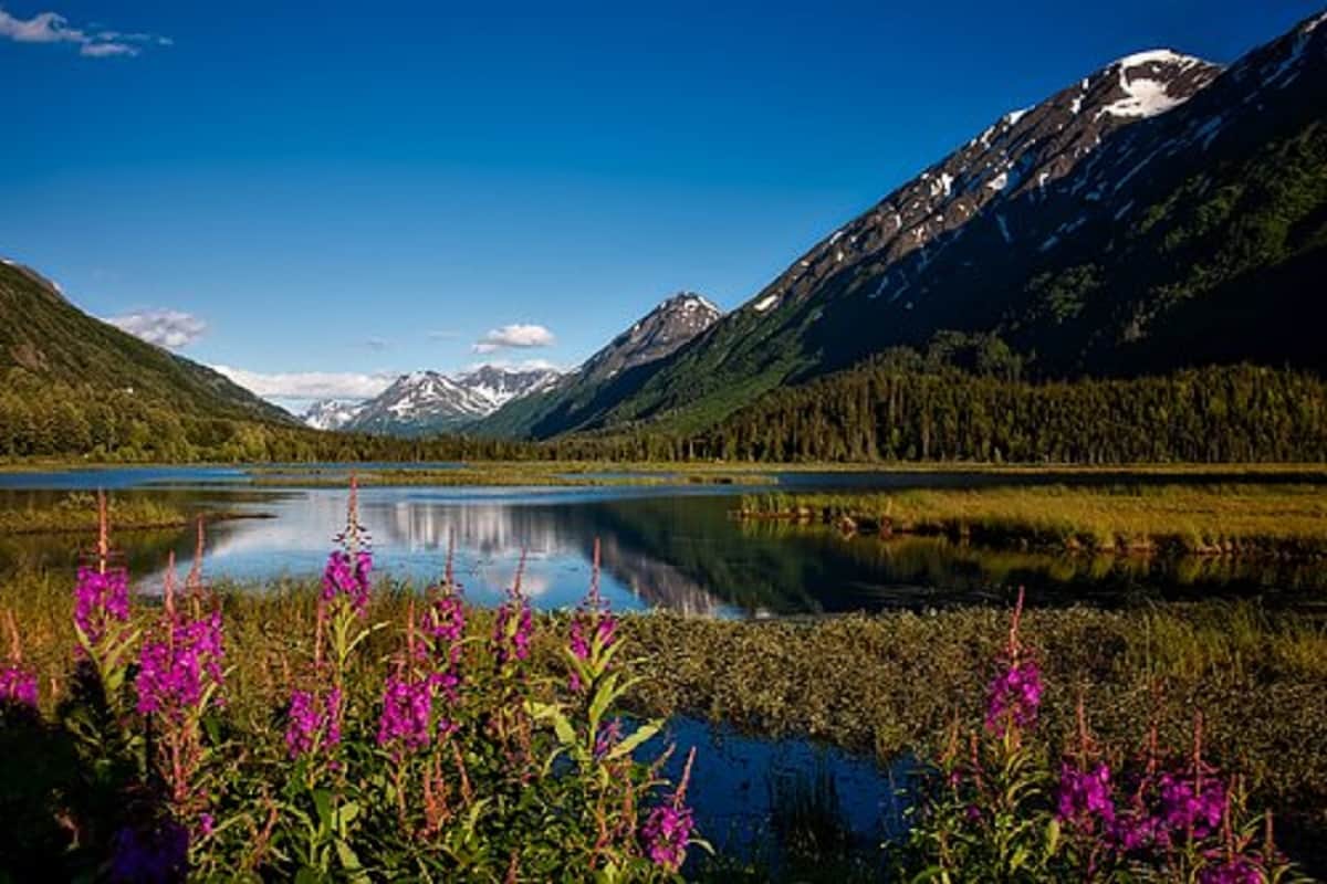 after end of this pandemic visit this 5 countries and get visa on arrival