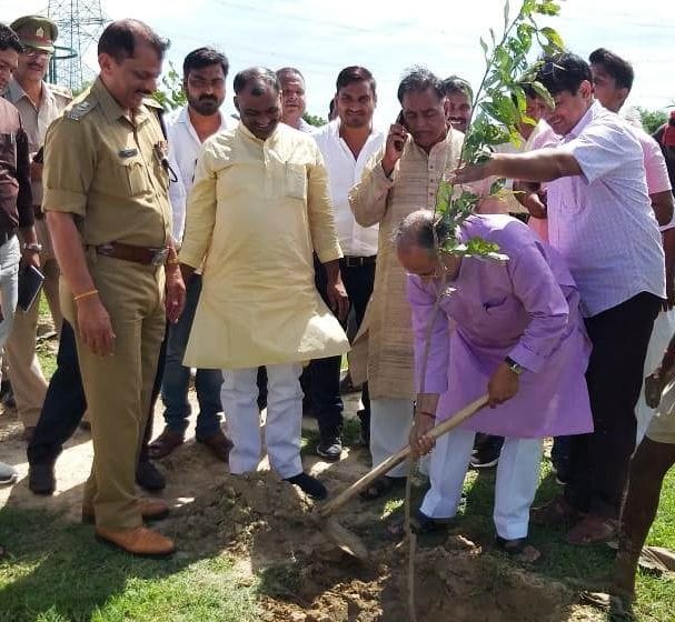 plantation in mainpuri