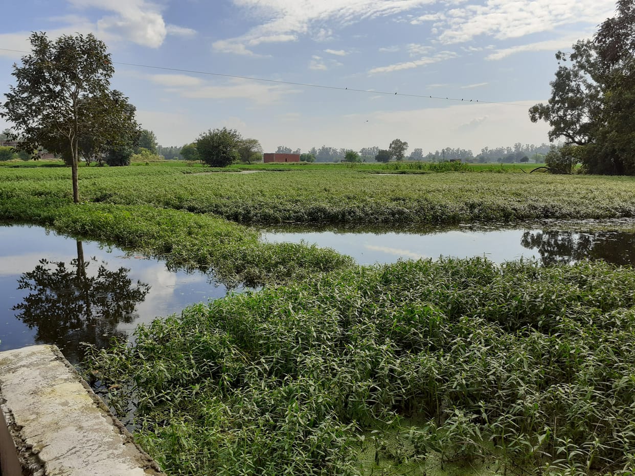gargarwala pond