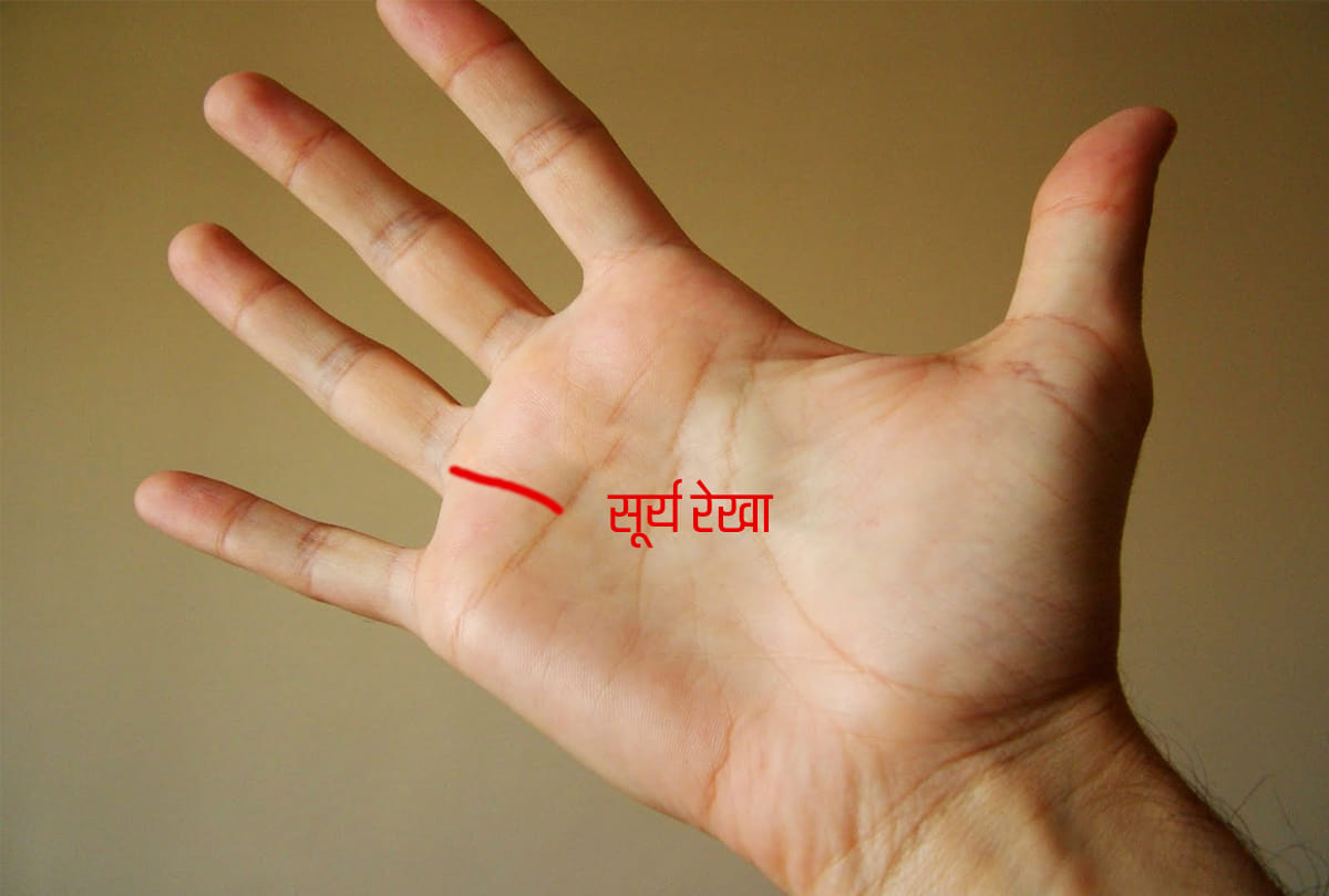 Palmistry says these palm line indicates government job in fate