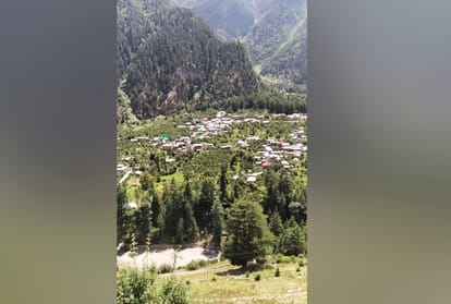 himachal weather report flood in kharogla nala apple plants uprooted  kinnaur himachal pradesh