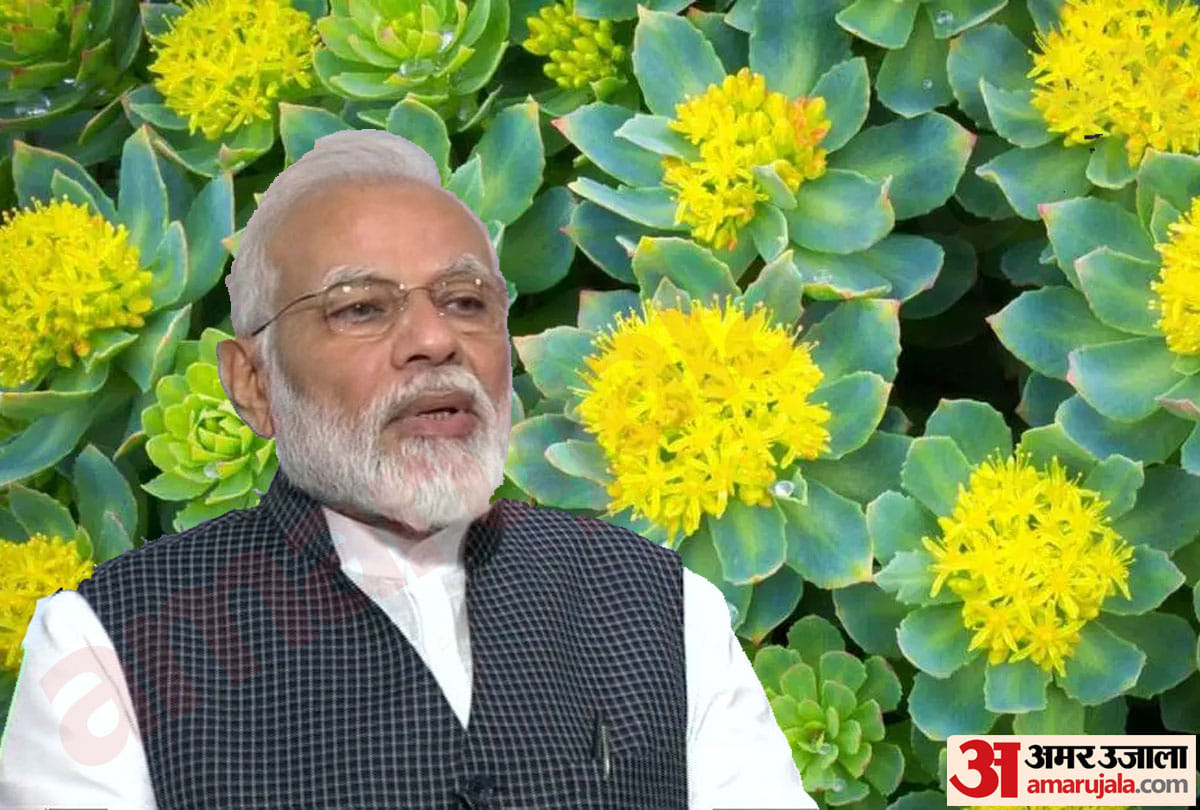 PM Modi dream of moving from Kanpur to Mumbai