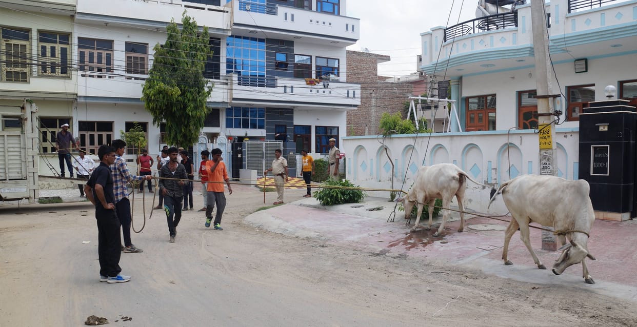 nagar nigam