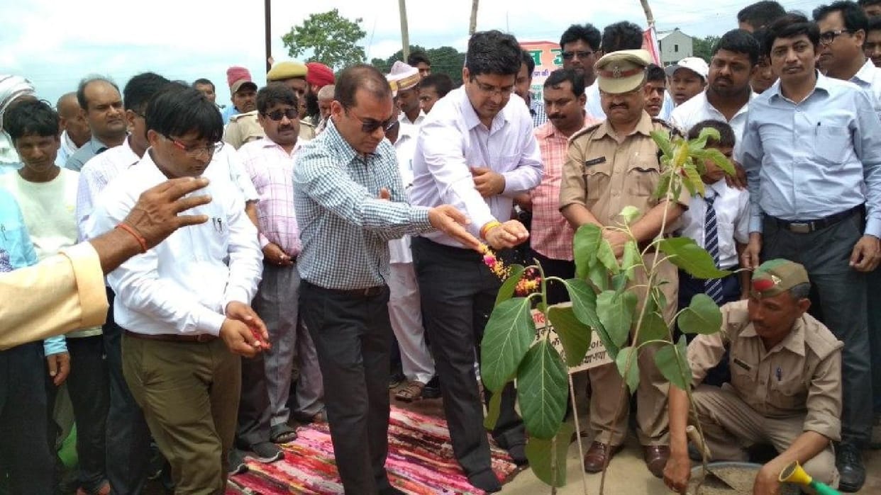 Pledge of security by planting 43.75 lakh saplings