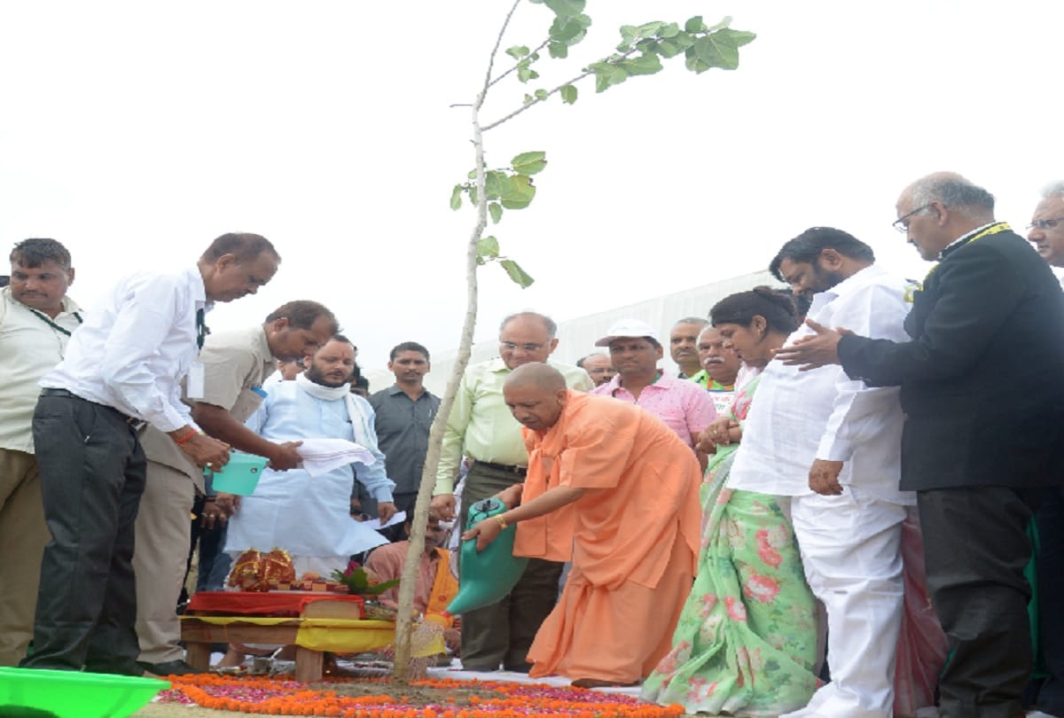 UP govt made record plant 22 crore saplings on August kranti diwas