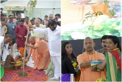 UP govt made record plant 22 crore saplings on August kranti diwas