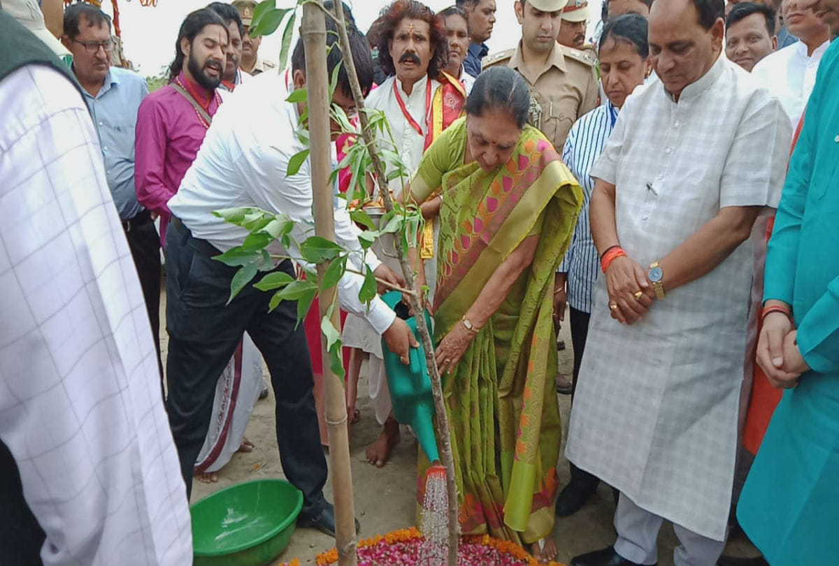 up governor anandi ben patel plant trees in Gangavan Kasganj
