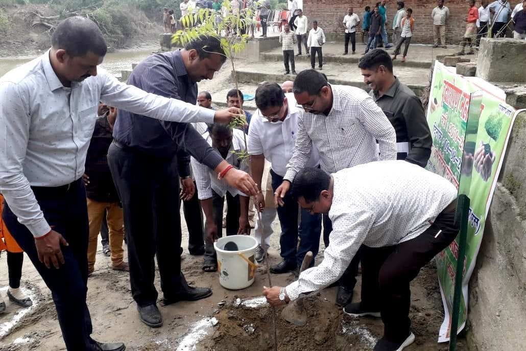 Three lakh 63 thousand saplings planted along the banks of Tamsa