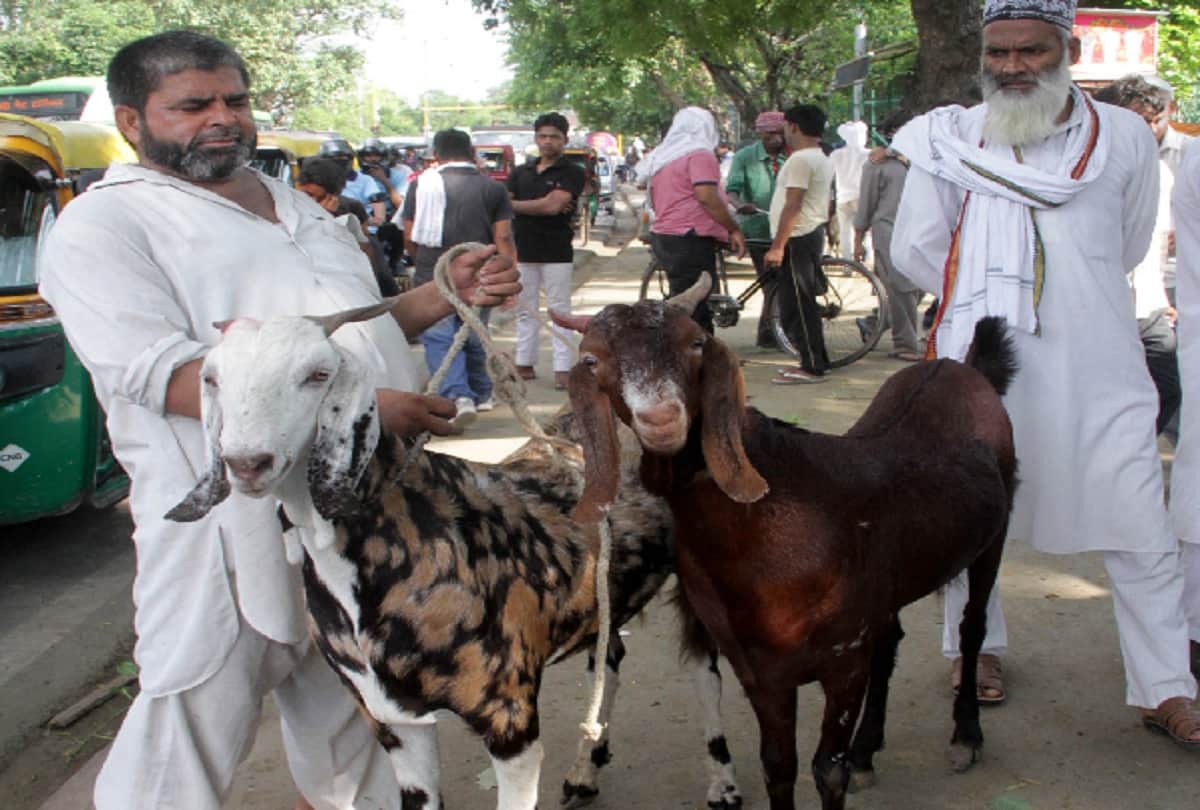 Rate of Bakra high on Bakreed 2019, available on different variants, Delhi